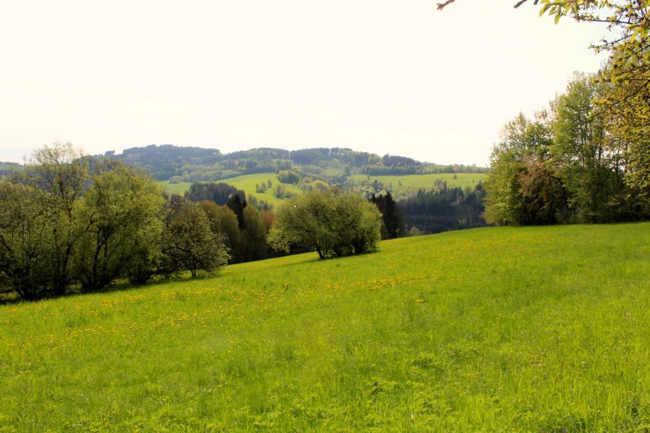 Ve Stodole Zlata Olesnice (Jablonec nad Nisou) Exterior foto